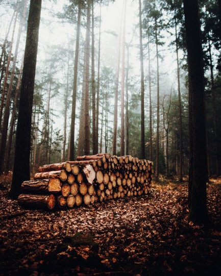 ForestProduct